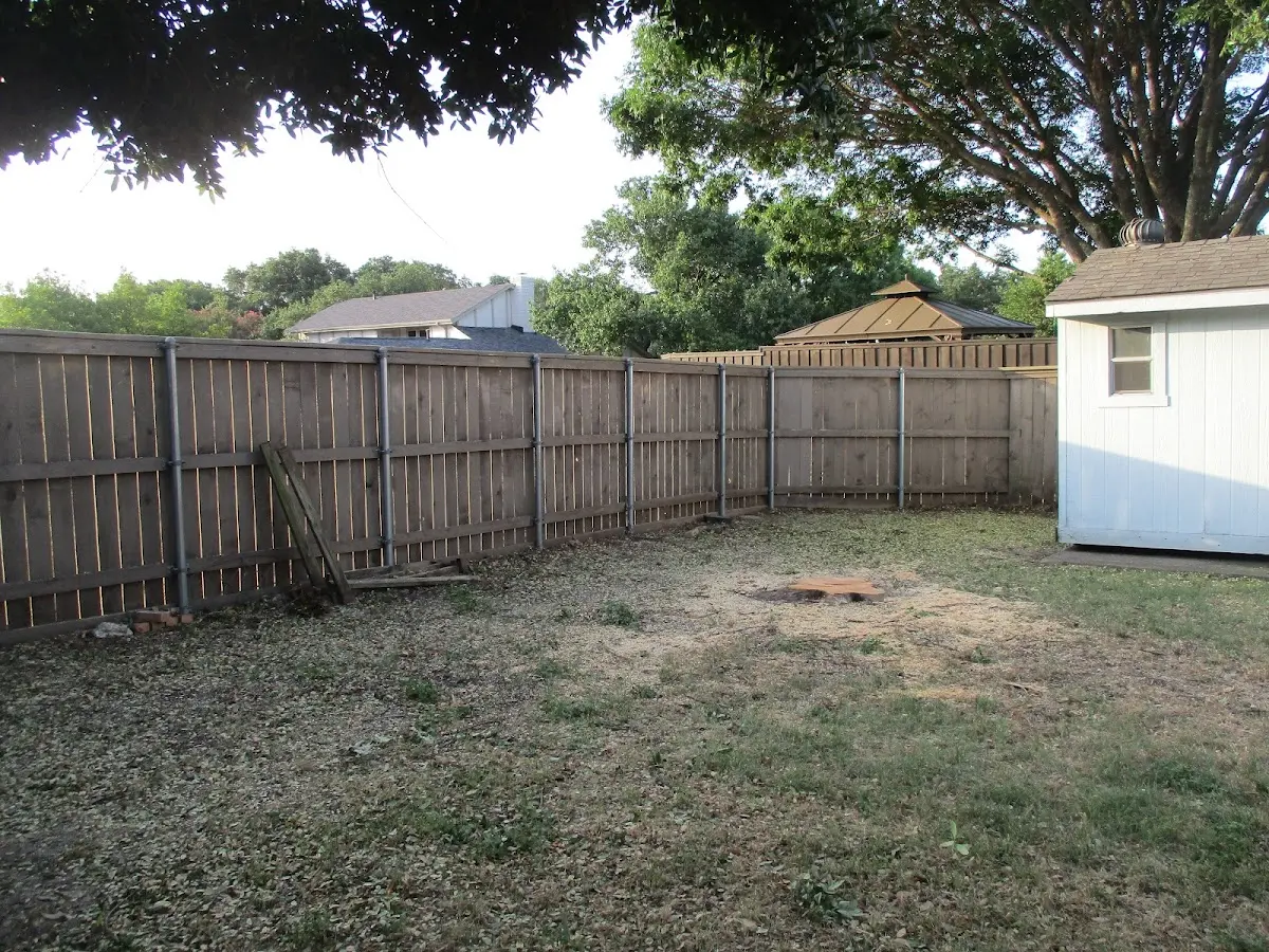 Cleared yard after professional tree removal in West Camp